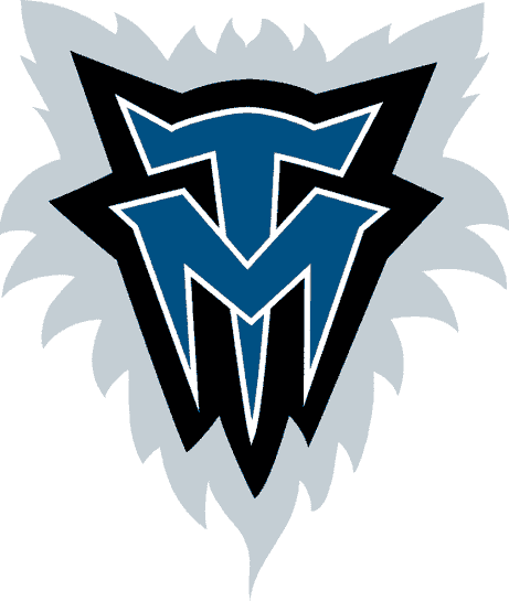 Minnesota Timberwolves 1996-2008 Alternate Logo iron on heat transfer v2